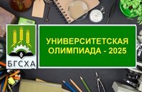 Предварительный этап университетской олимпиады